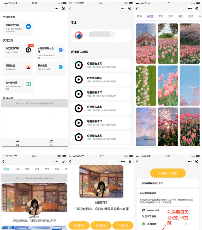 多接口带头像挂件制作短视频去水印微信小程序源码